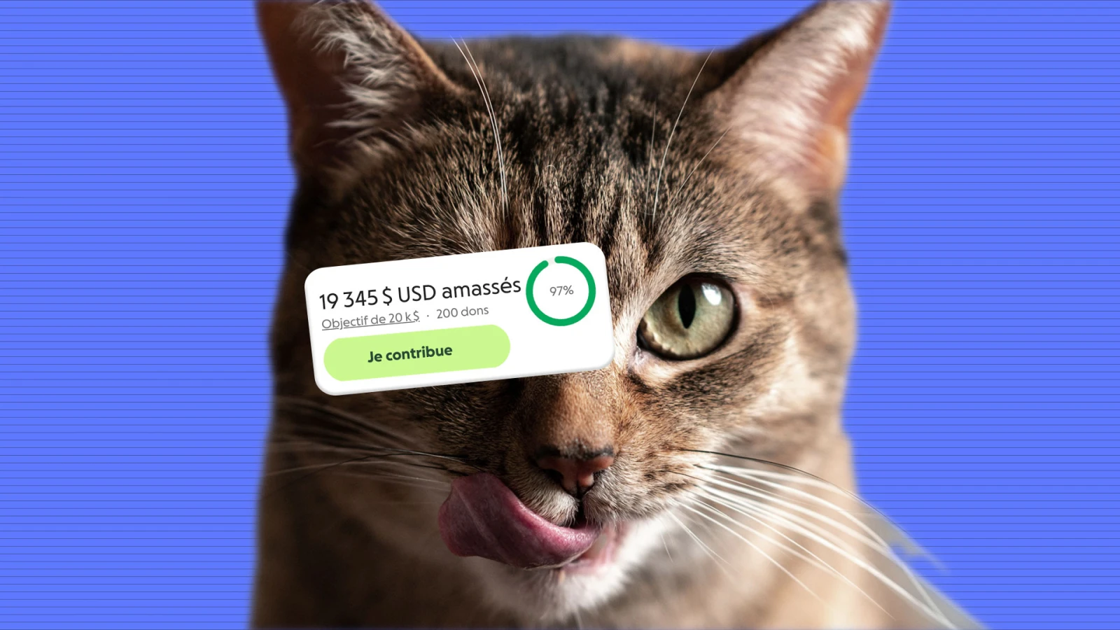 Est-ce qu’il y a trop de campagnes de sociofinancement?