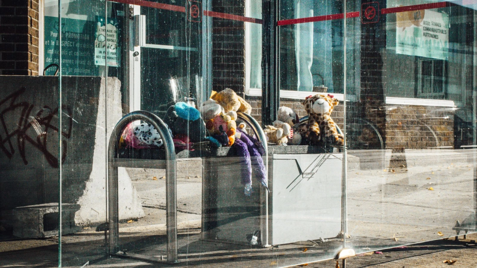 La détresse qui se cache derrière les bébés abandonnés à Longueuil