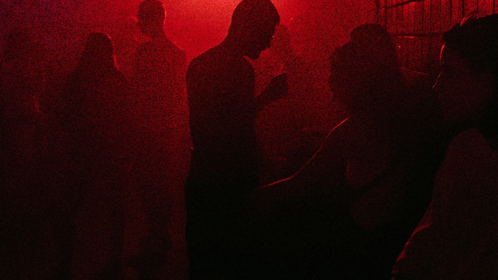 Aujourd’hui, je choisis l’ours