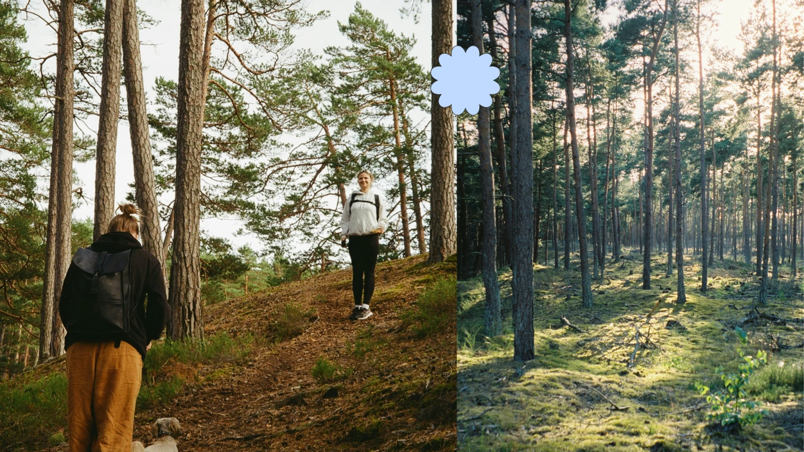 Jouer dehors autrement : 5 rituels pour du plein air contemplatif