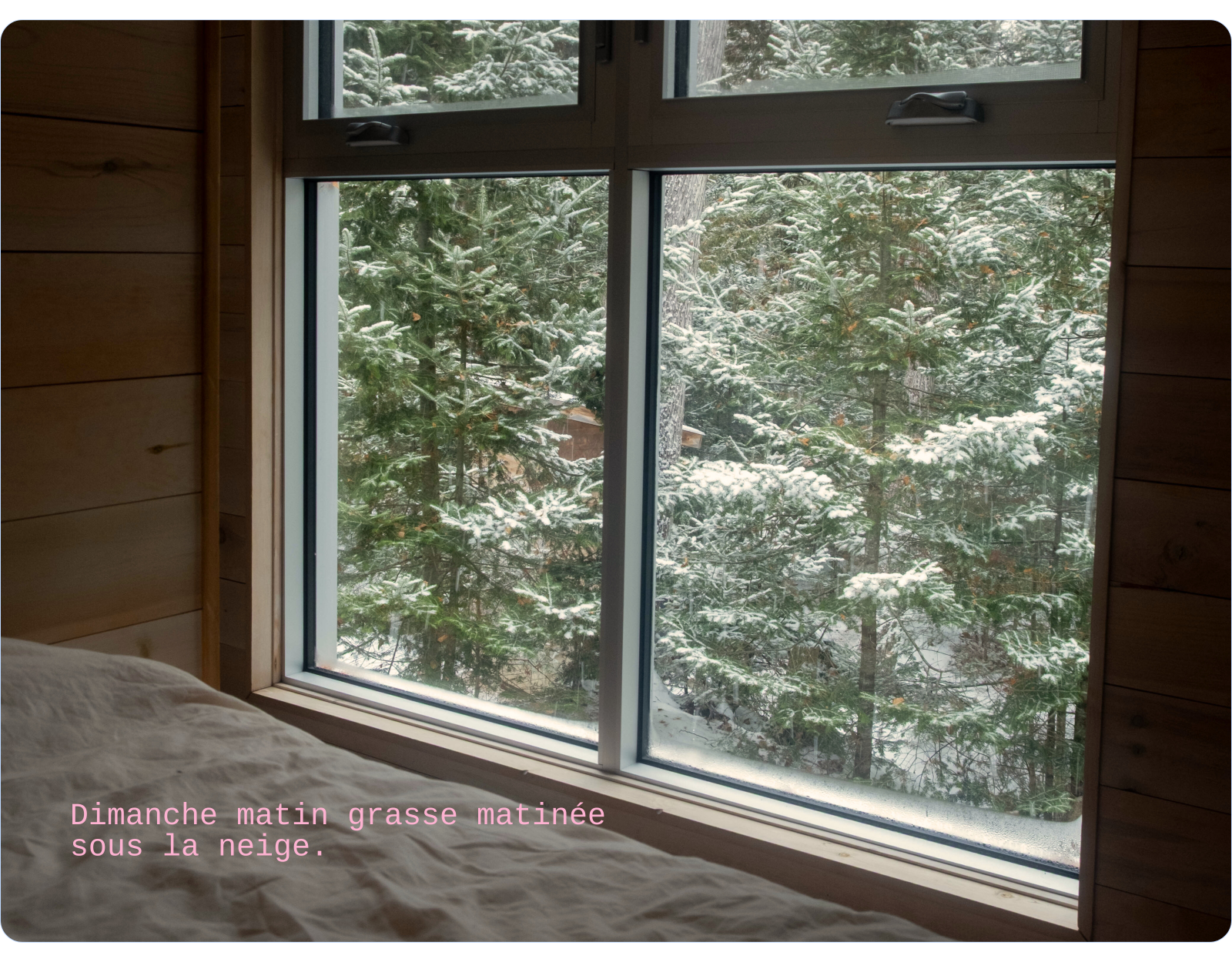 Dimanche matin grasse matinée sous la neige.