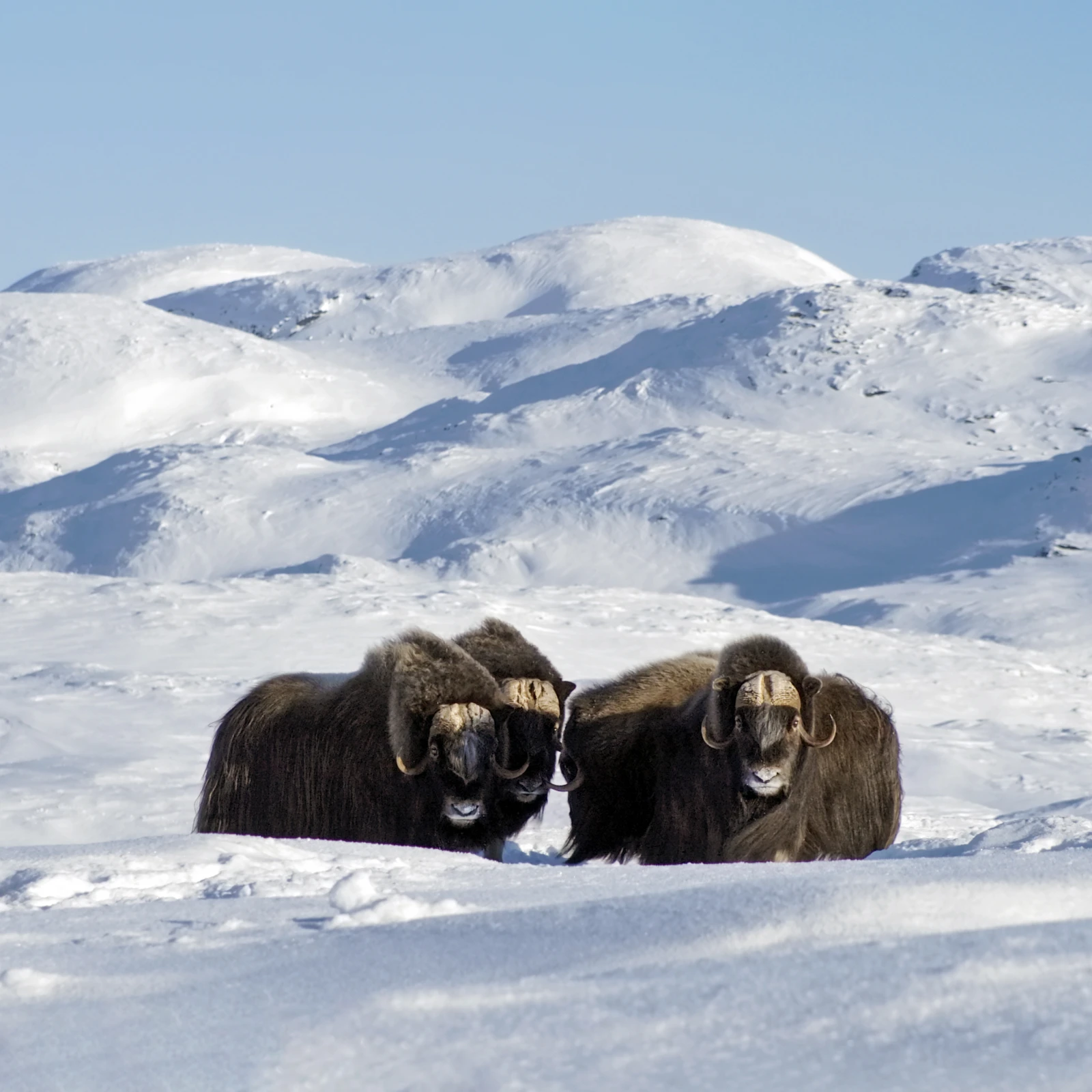 Photo : Marie-France L’Ecuyer