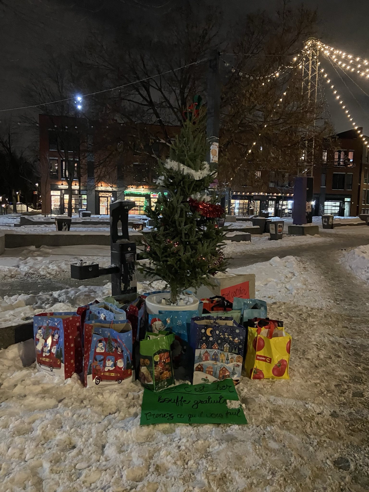 Photo : Robins des ruelles