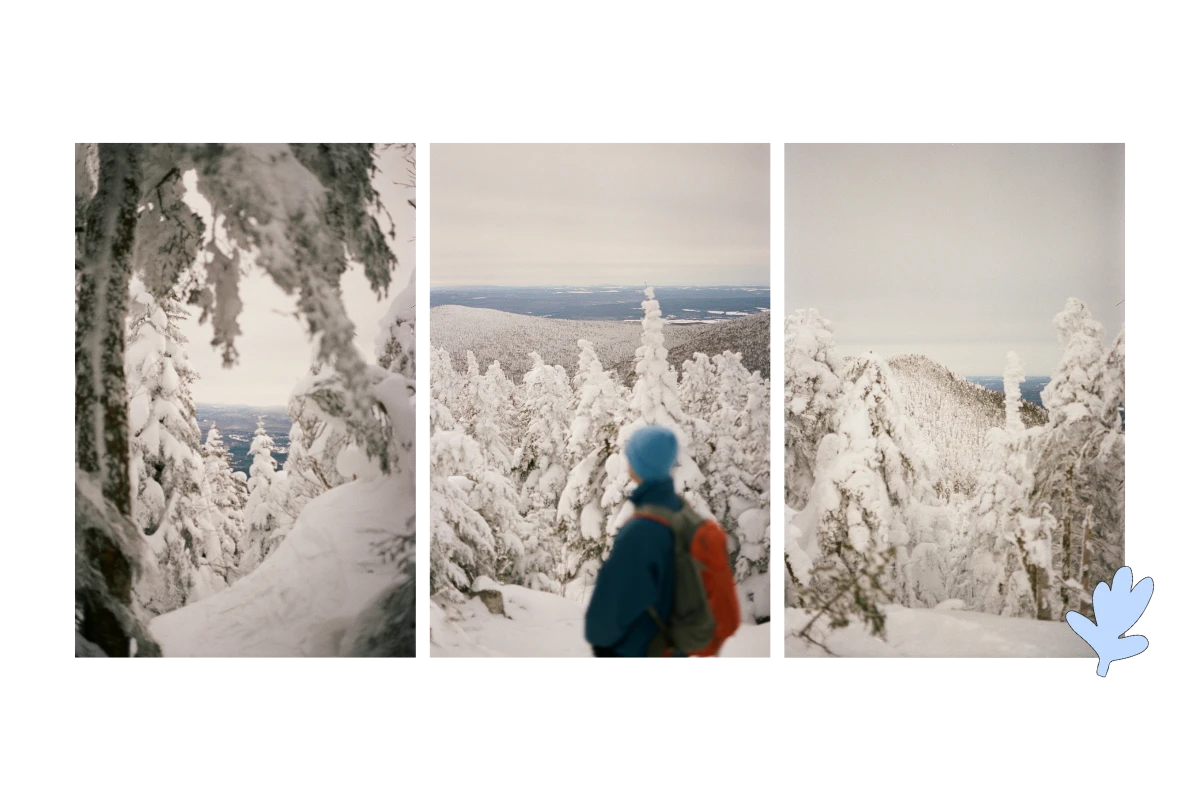 À pareil date l’an dernier, dans le secteur de l’Observatoire.