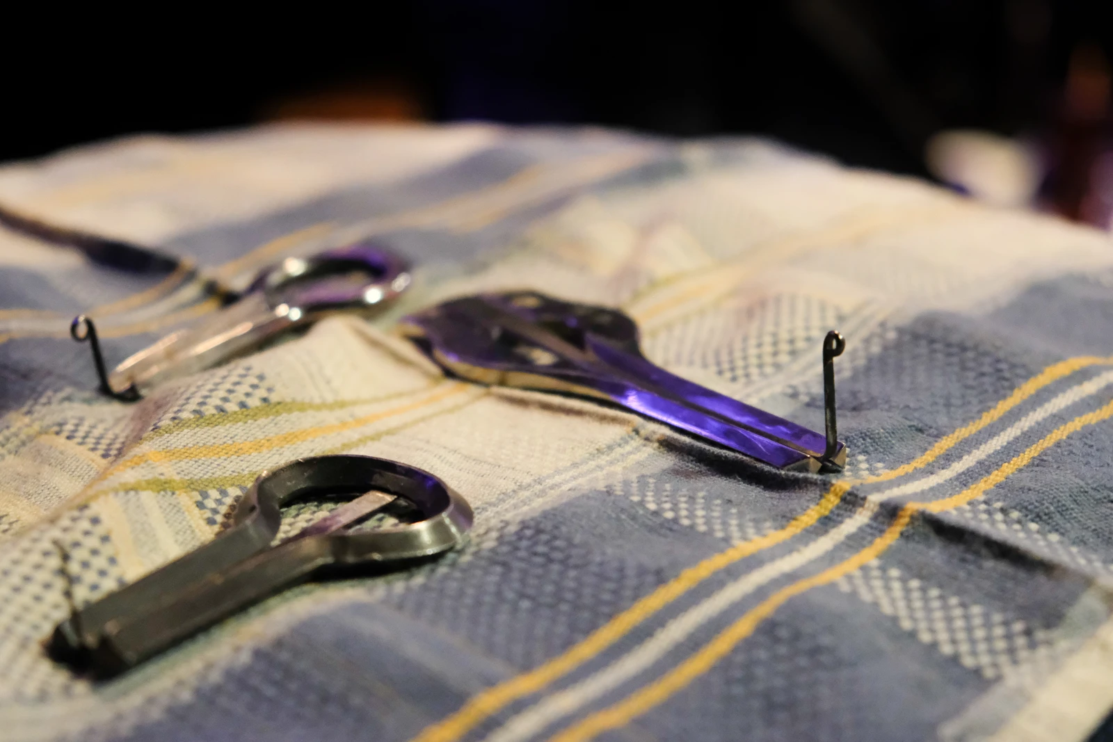 MONTREAL, QUE.: JANVIER 24, 2026—Évenement folk à la Toscadera à Montréal le 24 janvier 2026.   
(Esther Chaumont / URBANIA)