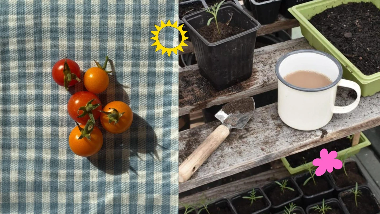 6 astuces pour jardiner sur son balcon