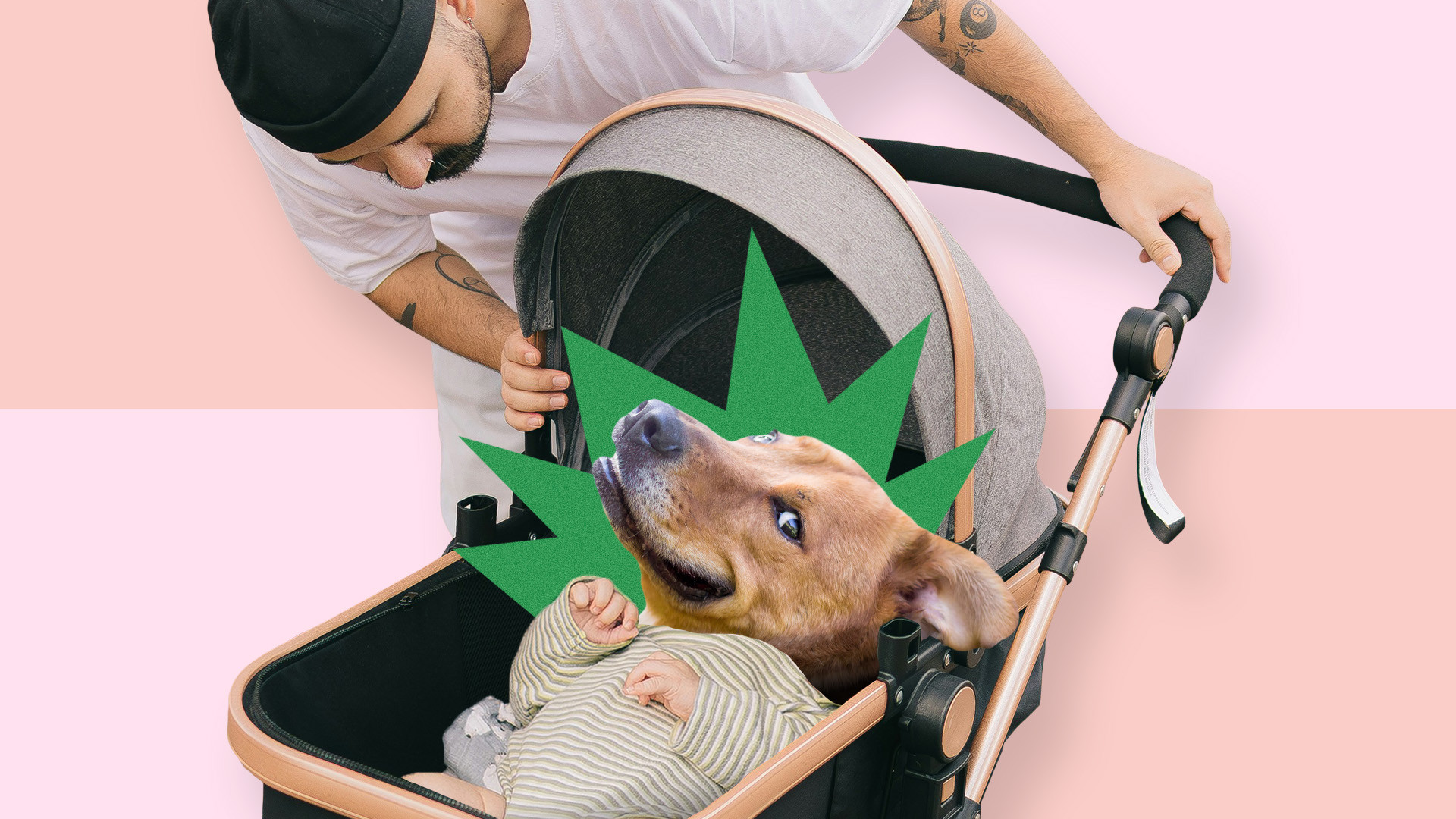 Est-ce qu’adopter un chien prépare à la parentalité?