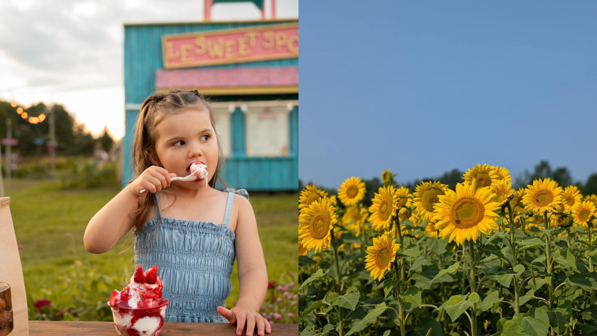 7 champs de fleurs « pas plates » à visiter en famille au Québec