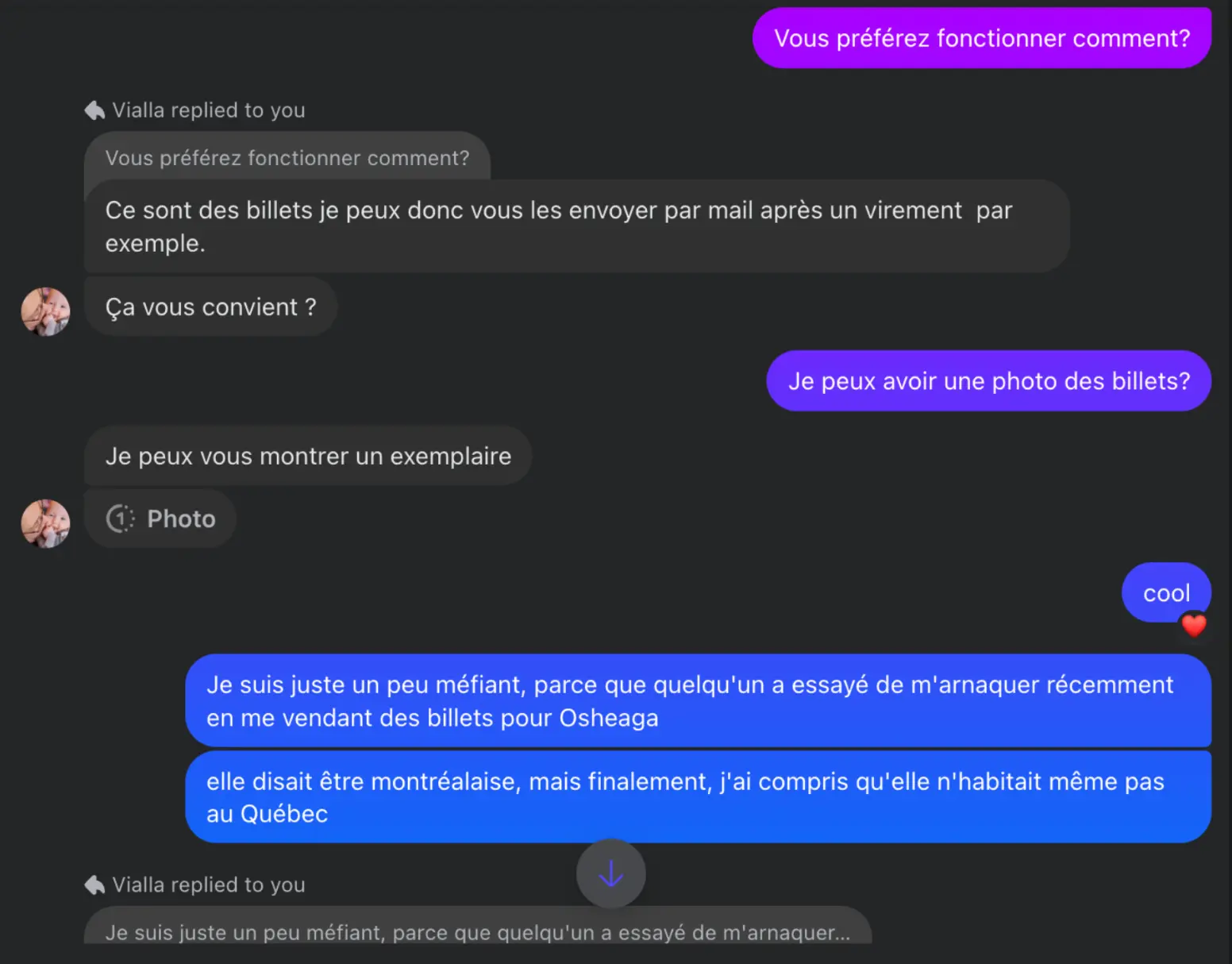 La « photo » consistait en une capture d’écran pixellisée d’un billet Ticketmaster quelconque, avec la mention « EXEMPLAIRE – NON VALABLE ».