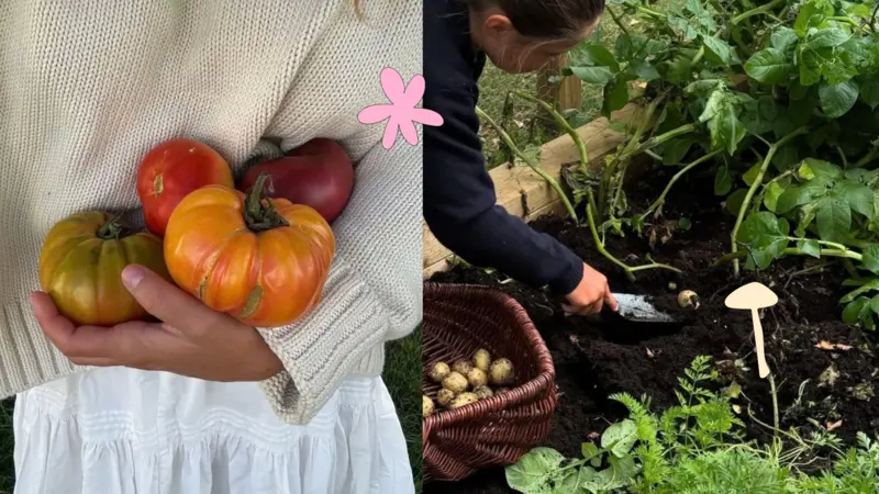 Le guide du jardinage d’automne : prolonger ses récoltes et préparer le printemps