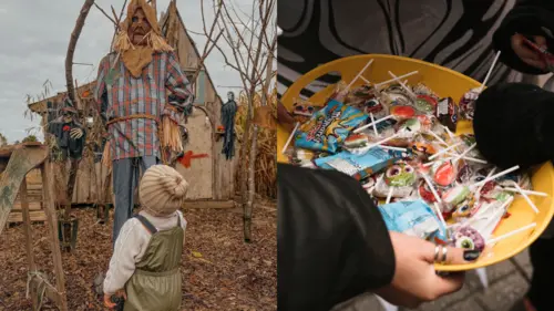 12 activités « pas plates » à faire en famille pour Halloween 2026