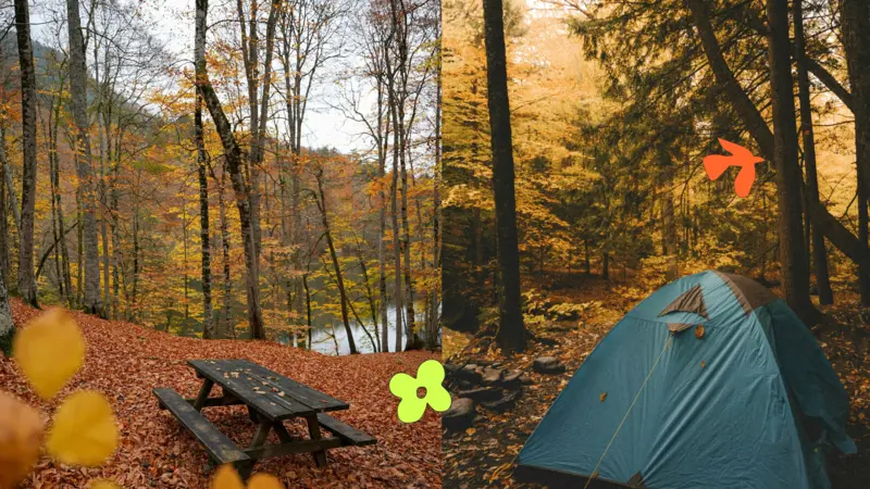 Bien s’équiper pour le camping d’automne